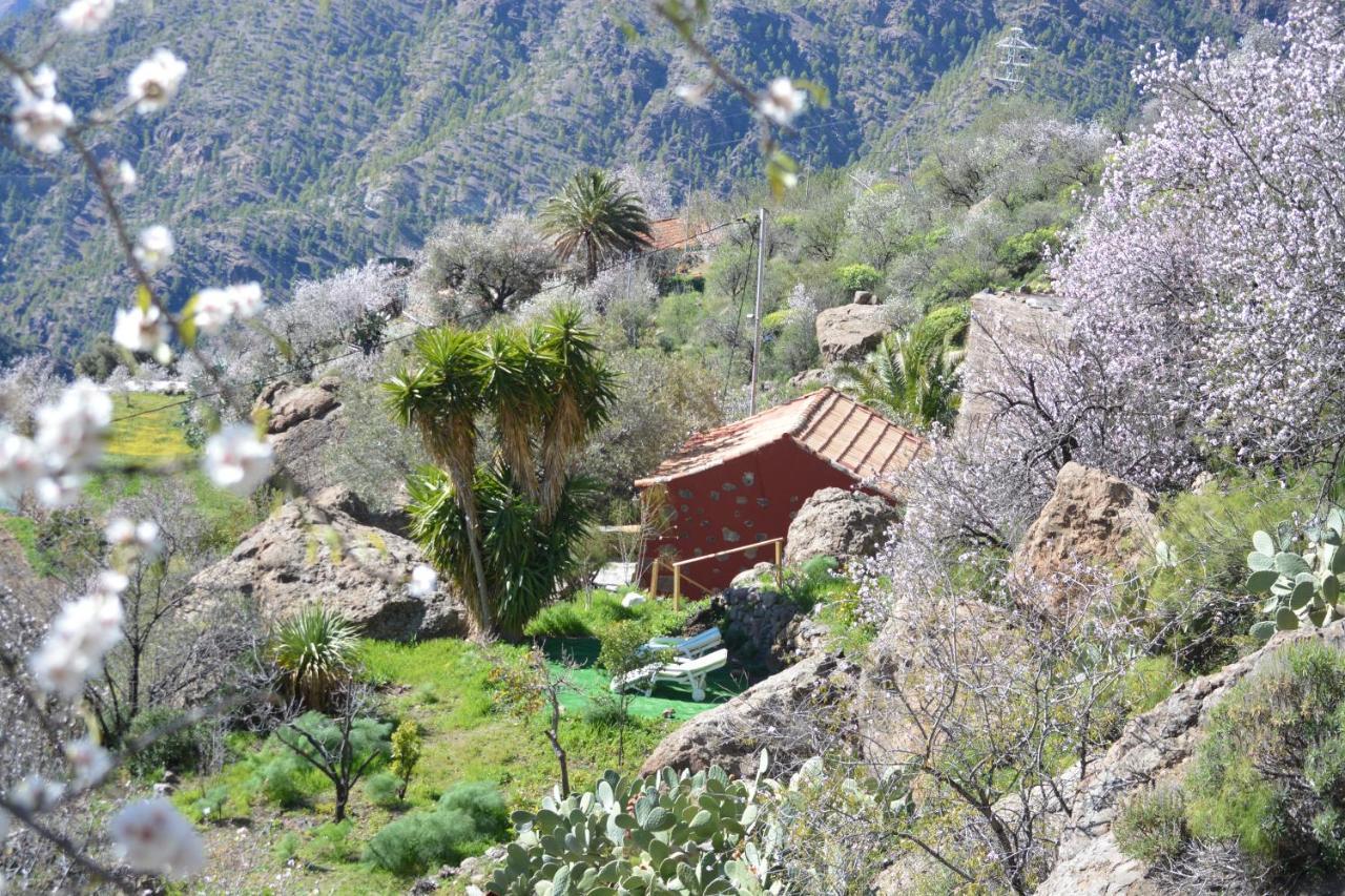 Willa Casa Cueva El Pedregal Tejeda Zewnętrze zdjęcie