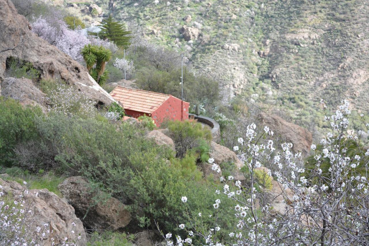 Willa Casa Cueva El Pedregal Tejeda Zewnętrze zdjęcie