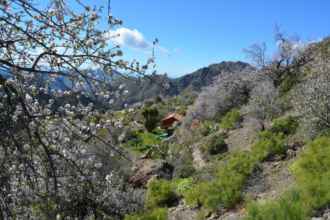 Willa Casa Cueva El Pedregal Tejeda Zewnętrze zdjęcie