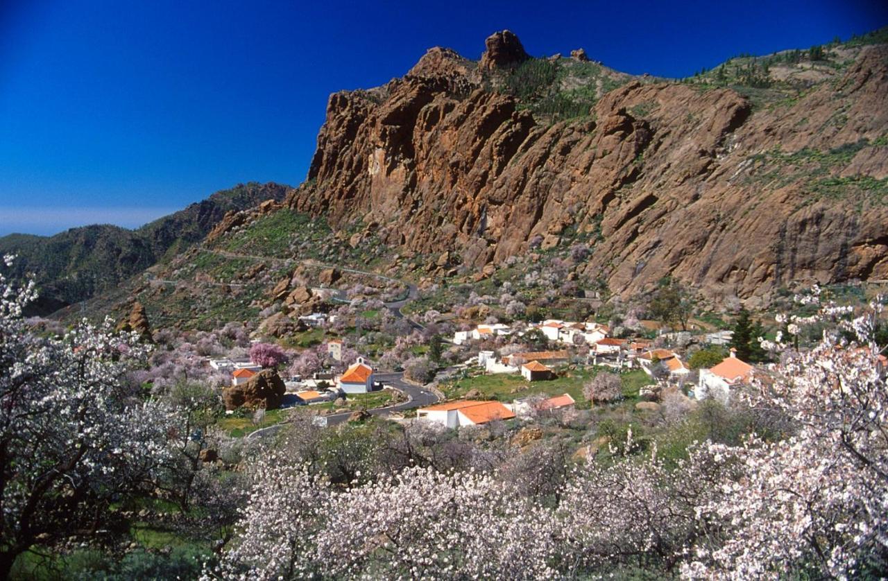 Willa Casa Cueva El Pedregal Tejeda Zewnętrze zdjęcie