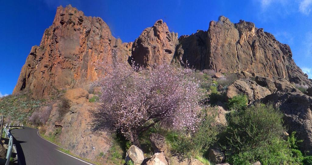 Willa Casa Cueva El Pedregal Tejeda Zewnętrze zdjęcie